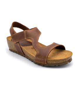 5316 marron
