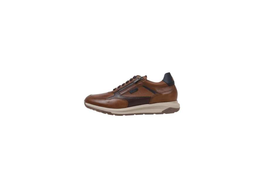 Scarpe stringate Fluchos F2530 marron
