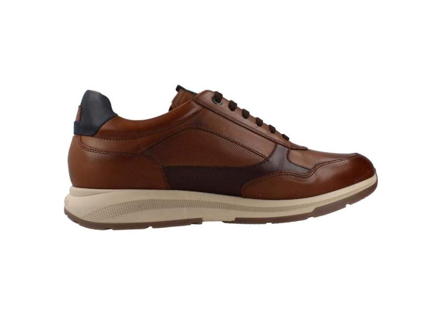 Scarpe stringate Fluchos F2530 marron
